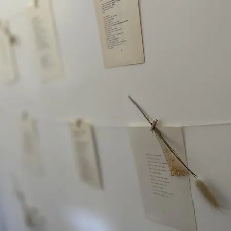 펜션 Le De Jeanne Nandrin
